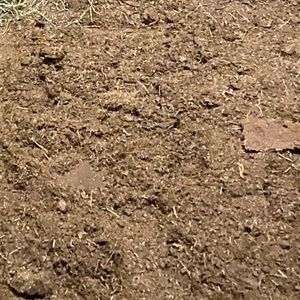 Meet your Posher, Daisy